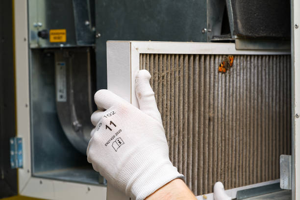 Best HVAC System Cleaning  in Tipton, IN