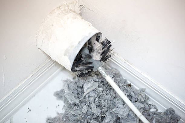 Best Affordable Duct Cleaning Services  in Tipton, IN